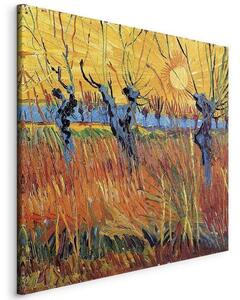 Quadro - Willows at Sunset