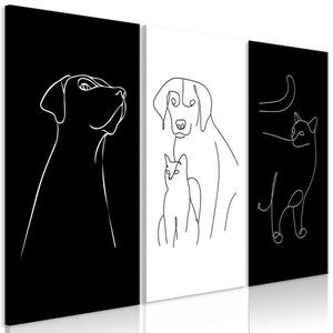 Quadro - Domestic Animals (3 Parts)