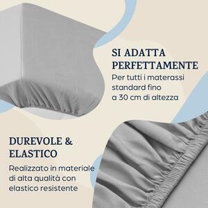 Sleepwise Soft Wonder-Edition, Copriletto, 180-200 x 200 cm, Microfibra, grigio chiaro