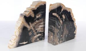 Coppia di fermalibri in legno pietrificato - 53379