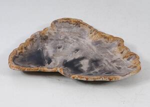 Piatto in legno pietrificato - 56027