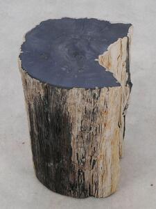 Tavolino tronco pietrificato nero - 51324