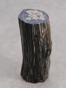 Tavolino tronco in legno pietrificato - 56257