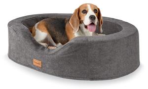 Brunolie Lotte, lettino e cuscino per cani, lavabile, ortopedico, antiscivolo, memory foam traspirante, taglia M (80 x 20 x 60 cm)