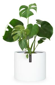 Fox & Fern Fioriera, vaso per piante, fiberstone, interni/esterni