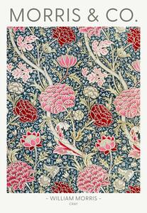 Illustrazione Cray, William Morris