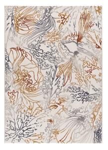 Tappeto 80x150 cm Amara – Universal