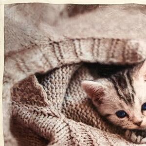 Morbido Plaid in flannel Bassetti Imagine articolo WOOL CAT a cm.130x160