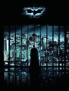 Stampa d'arte The Dark Knight Trilogy - Night City, (26.7 x 40 cm)