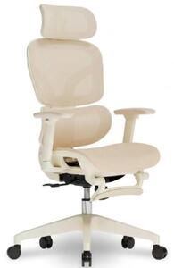 Sedia da ufficio ergonomica BS5W-M2, in rete, color pesca