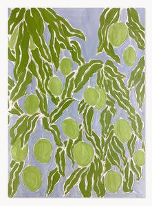 Poster Raw Mango