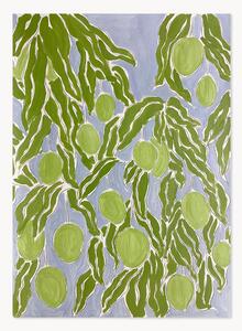 Poster Raw Mango
