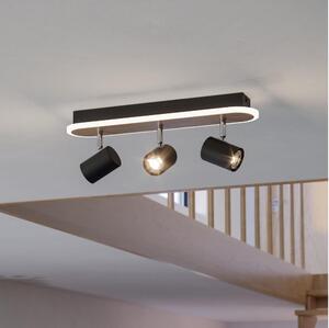 Eglo 901633 - Faretto LED RIMBOCCHI LED/20W/230V marrone/nero