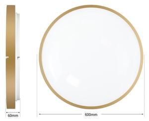 Brilagi - Lampada LED dimmerabile GLASS POOL DOUBLE LED/80W/230V 60 cm dorata + telecomando