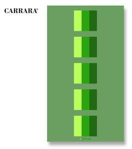 Telo MARE in spugna tinto filo Carrara MALDIVE variante 03 VERDE S41 misura cm 95x180 - SECONDA SCELTA