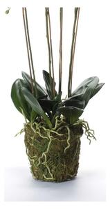 Piante artificiali Emerald orchidea artificiale