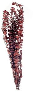 Mazzo di fiori secchi decorativi di colore rosso scuro 56 cm e avvolti in carta decorativa Beliani