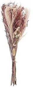 Mazzo di fiori secchi di colore rosa 50 cm e avvolti in carta decorativa naturale Beliani