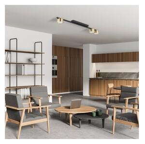 Faretto da soffitto LOGAN 3xGU10/10W/230V nero/oro