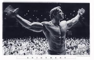 Posters, Stampe Arnold Schwarzenegger - Enjoyment, (91.5 x 61 cm)