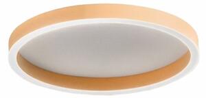 Plafoniera moderna gea luce aela pp faepp1 led alluminio metacrilato biemissione - Gea Luce
