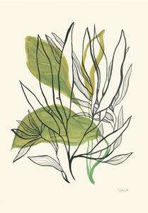 Illustrazione Foliage N 1, Catalina Somolinos, (26.7 x 40 cm)