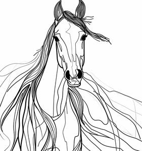 Illustrazione Line Horse, Justyna Jaszke, (30 x 40 cm)