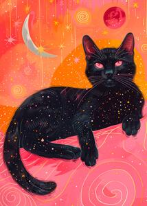 Illustrazione Candy Cat the Star Vii, Justyna Jaszke