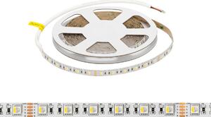 Striscia LED RGBW Multicolore 24V 17W/m Professionale - IP20 - 5 metri