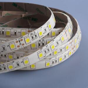 Striscia LED 5050 bianco freddo (6000 K) 72 W 500 cm 24 V IP44