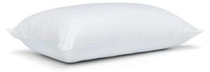 Cuscino con imbottitura in memory foam 48x74 cm Luxury Multi Relax – Catherine Lansfield