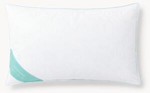 Cuscino in piuma Comfort, medio