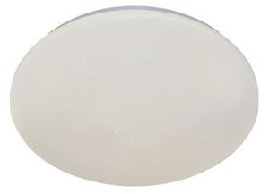 Rabalux 71507 - Plafoniera LED LUCAS2 LED/12W/230V 4000K diam. 25,5 cm