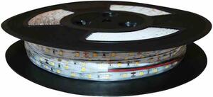 Striscia LED 50m colore freddo IP20 Eko-light EKPL427