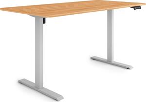 ESMART Germany ETX-121GM 160 x 80 cm Decorazione acero Scrivania ergonomica sit-stand Regolabile elettricamente in altezza in modo continuo 73,5 - 123,5 cm 3x memoria Promemoria attività Soft-Start/Stop Montaggio rapido
