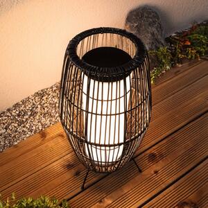 Paulmann Plug & Shine Lampada LED Basket RGBW, 40 cm, ZigBee