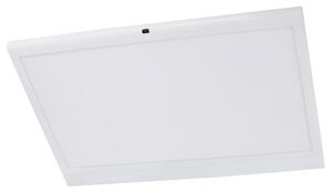 Pannello LED Naoko 1.5x59.5 cm Ø 0 cm, bianco naturale, 800LM INSPIRE