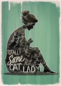 Illustrazione Totally Sane Cat Lady, Andreas Magnusson, (30 x 40 cm)