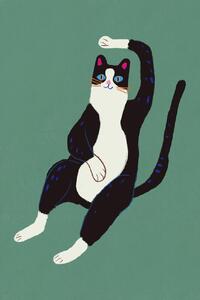 Illustrazione Black and white cat, Little Dean, (26.7 x 40 cm)