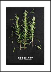 Dipinto 50x70 cm Rosemary – Styler
