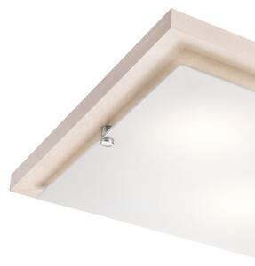 Lampada da soffitto 1xE27/60W/230V