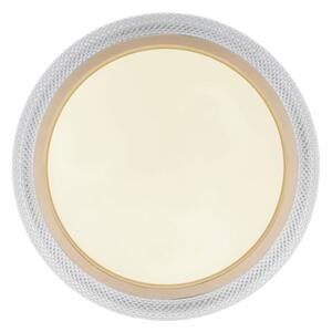 Globo 41372-24 - Plafoniera dimmerabile RGBW BOLLY LED/20W/230V + +TC