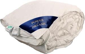 Power of Dreams, piumino in piuma d'oca 240x260 cm, 2200 g - Piumino in piuma d'oca adatto per tutto l'anno - 100% cotone, imbottitura a cassetti