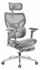 Sedia da ufficio - Ergonomica - Supporto lombare GlideTrack - Poggiatesta 4D - Grigio scuro - Per lavoro da casa e gaming
