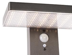 Paletto da esterno grigio scuro 80 cm con LED e anabbaglianti a energia solare - Sunnie
