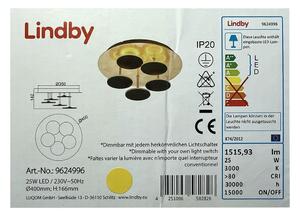 Lindby - Plafoniera LED dimmerabile CASNI 5xLED/5W/230V