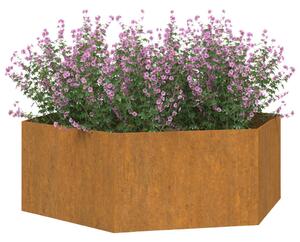 Fioriere da Parete 2 pz Grigie in Acciaio Corten 30x10x25 cm