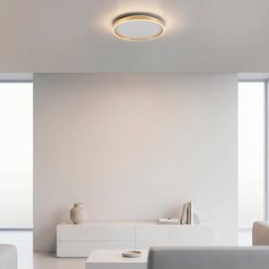 JUST LIGHT. GmbH Plafoniera soffitto Madlen, dimmerabile, Ottone / Oro, Soggiorno / Sala da pranzo, Metallo, Moderno, Plafoniera