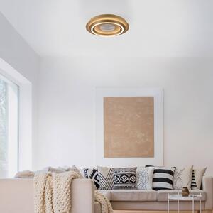 JUST LIGHT. GmbH Plafoniera soffitto Cichio, Ottone / Oro, Soggiorno / Sala da pranzo, Metallo, Moderno, Plafoniera
