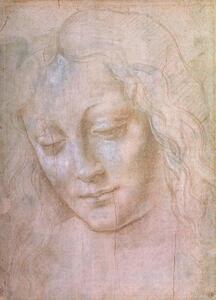 Leonardo da (school of) Vinci - Stampa artistica Leonardo da Vinci - Volto di fanciulla, (30 x 40 cm)
